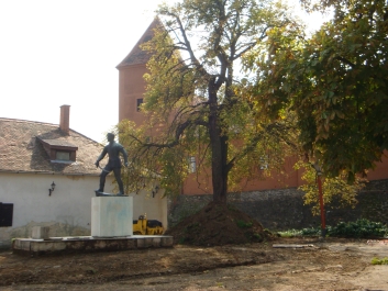 photo 856717