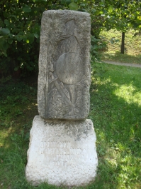 photo 856721