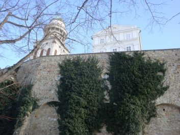 photo 960051
