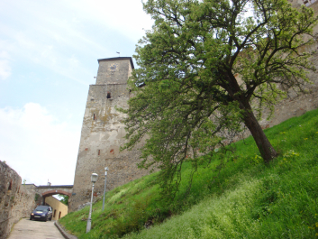 photo 1035009