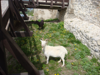photo 1035027