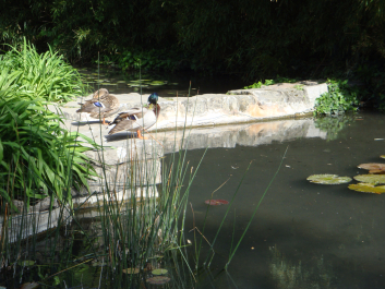 photo 1037416