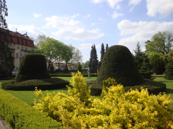photo 1037432
