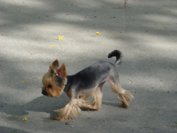 photo 1037433