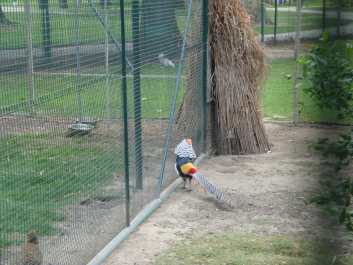 photo 1037455