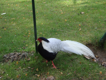 photo 1037457