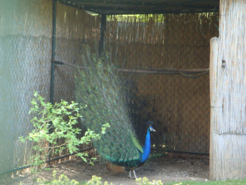 photo 1037458