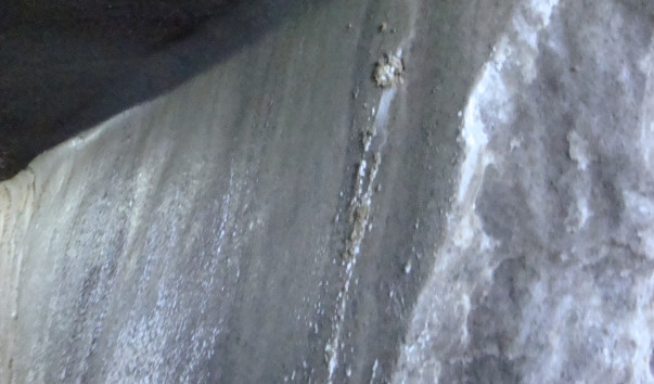 DSC00887