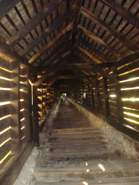 photo 1100274