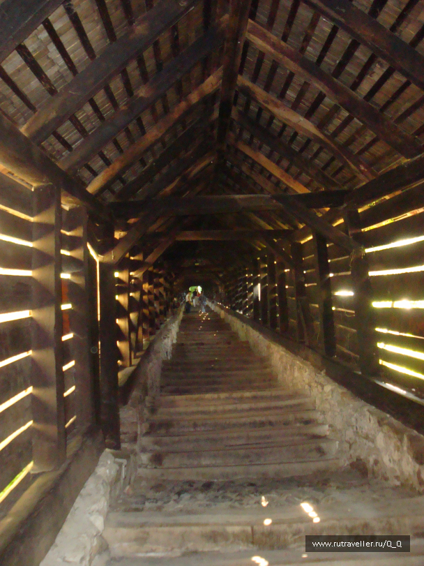 photo 1100274