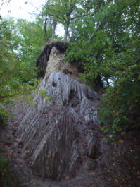 photo 1100303
