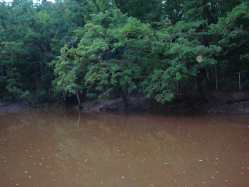 photo 1100305