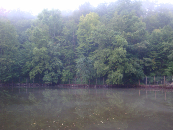 photo 1100307