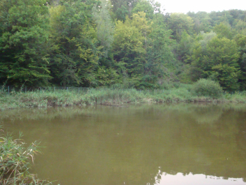 photo 1100316