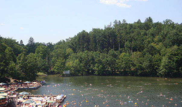 DSC00703