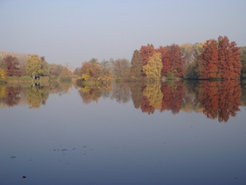 photo 1165748