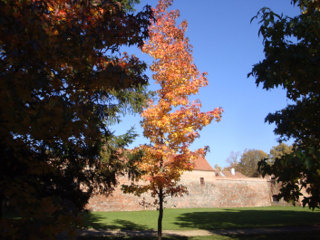 photo 1165752