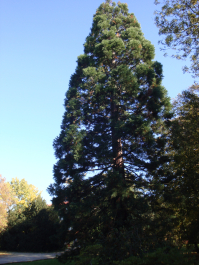 photo 1165756