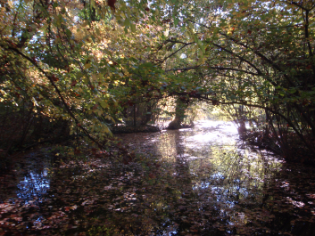 photo 1165761
