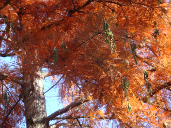 photo 1165769