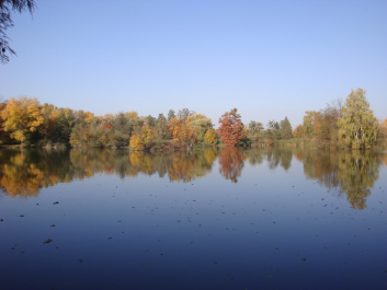 photo 1165771