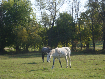 photo 1165778
