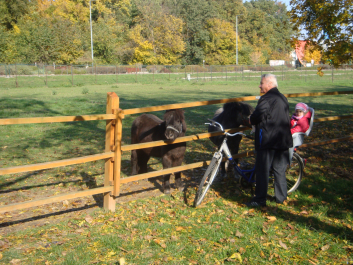 photo 1165781