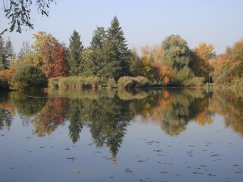photo 1165787