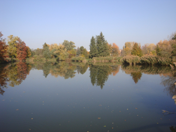 photo 1165789