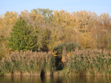 photo 1165797