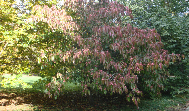 128