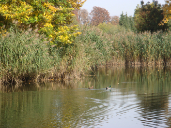 photo 1165844
