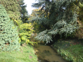 photo 1165852
