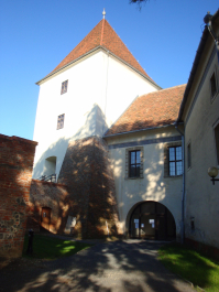 photo 1165871
