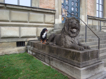photo 1205622
