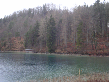 photo 1206465