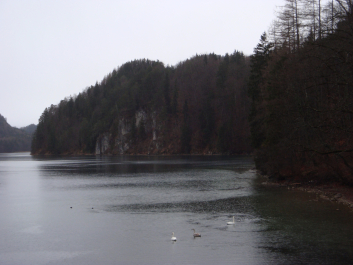 photo 1206467