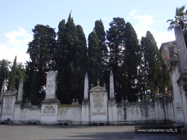 photo 1259856