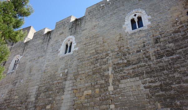 DSC00650