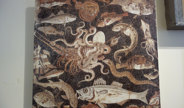 DSC00801