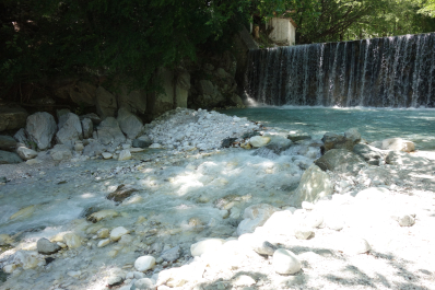 photo 1330892