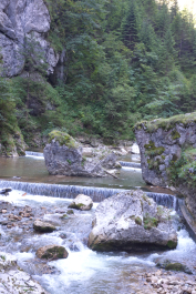 photo 1351198