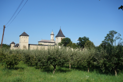 photo 1351420