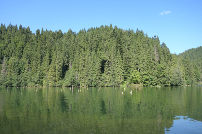 photo 1351422