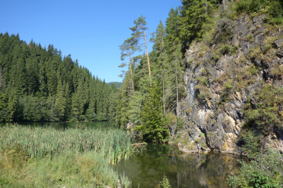 photo 1351423