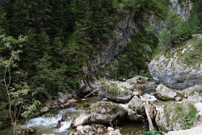 photo 1351438