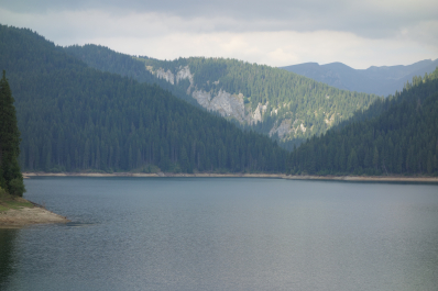 photo 1352202
