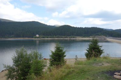 photo 1352204