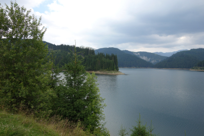 photo 1352205