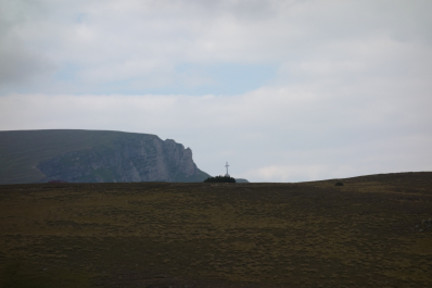 photo 1352218